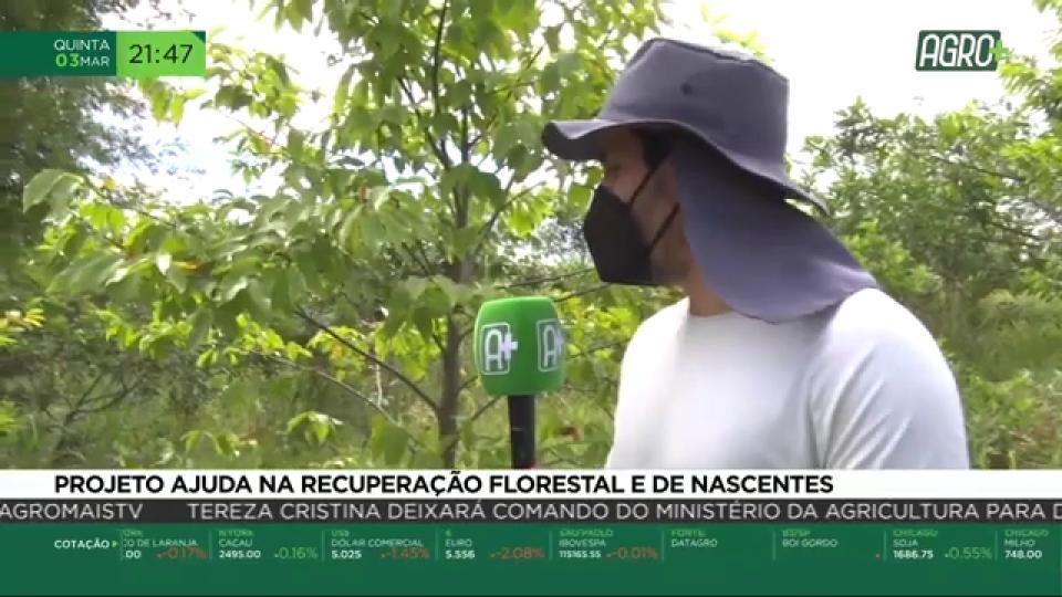Recuperação Florestal